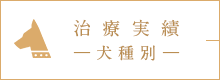 治療実績 犬種別