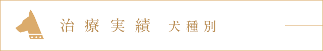 治療実績 犬種別