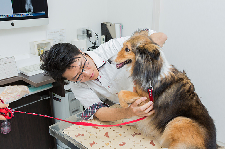 脱毛、薄毛を見分けるポイント