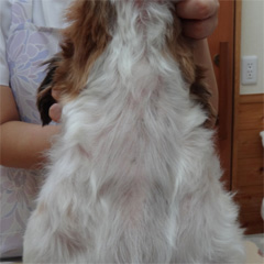 症例1_after➁