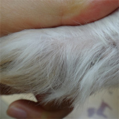 症例1_after④