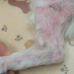 症例4_after➁