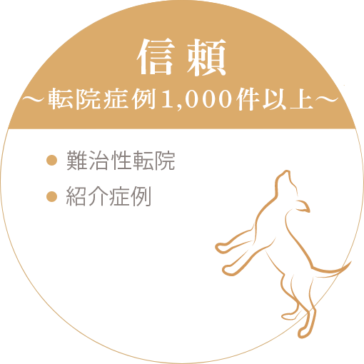 信頼の実績1,000件以上