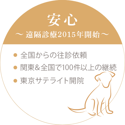 安心・遠隔診療2015年開始