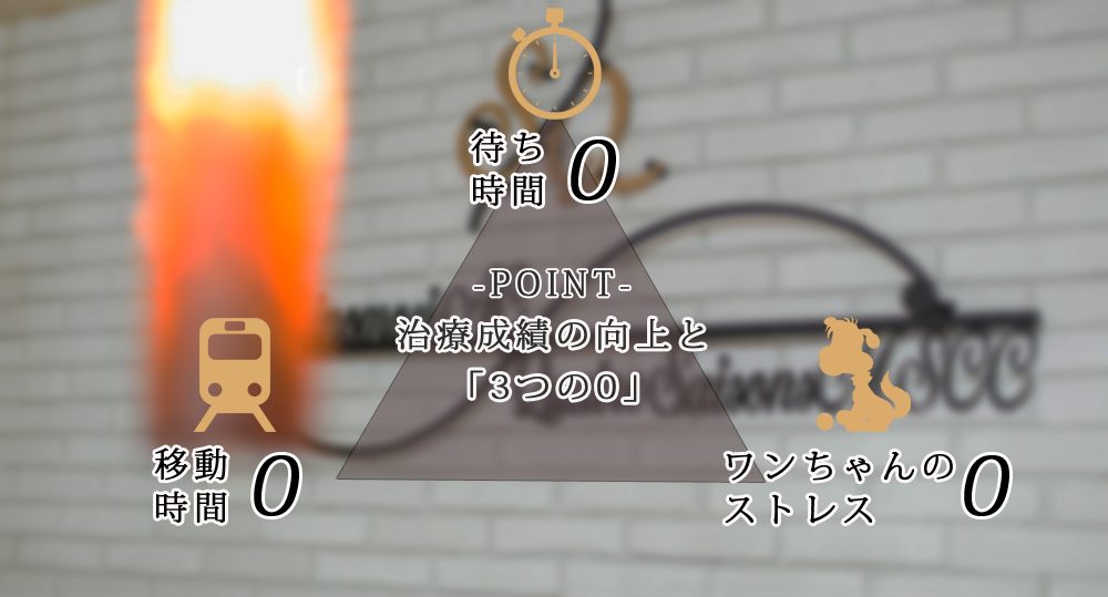 3つのポイント　移動時間0、待ち時間0、ワンちゃんのストレス0